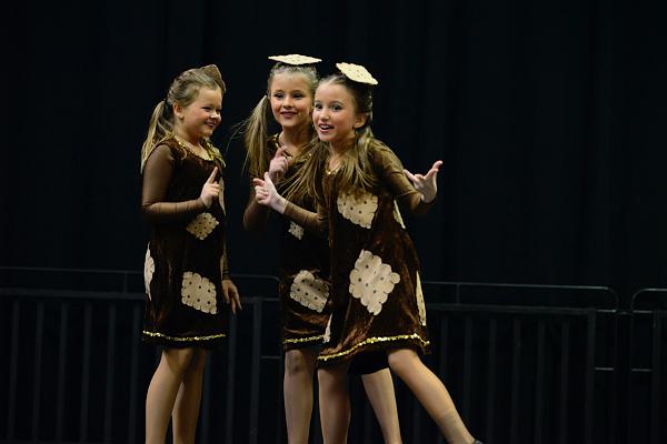20151121Tanztunier der Karnevalisten __21.jpg - Sa. 21.11.2015,Hannover (Foto:Herbert Frost)